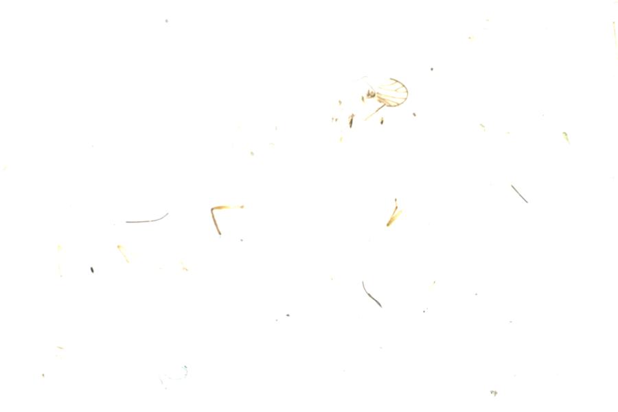 Image 45